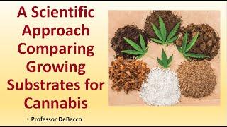 A Scientific Approach Comparing Growing Substrates for Cannabis