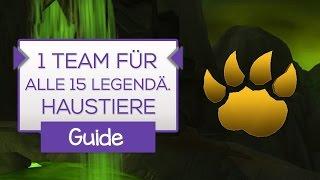 Alle 15 legendären Tanaandschungel Haustiere mit 1 Team besiegen! 6.2 Guide  [WoW]