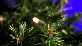 Koppelbare kerstverlichting LED • Kerstverlichting Buiten