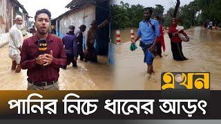 নেত্রকোনায় বন্যা পরিস্থিতি ভয়াবহ! | Flood News | Netrokona | Mymensingh | Sherpur | Ekhon TV