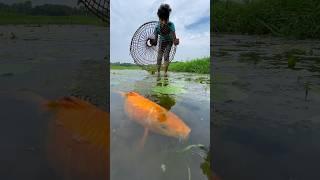 Amazing fishing with polo #fishing #polofishing #shorts