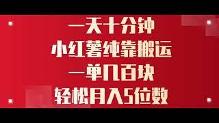 0319【副业项目详解】一天10分钟 小红薯全靠搬运 一单几百块 轻松月入5位数#副业巴士