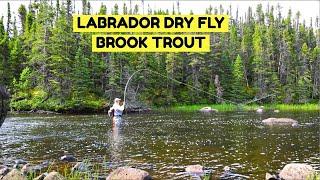 Dry Fly Labrador Brook Trout | Igloo Lake Lodge