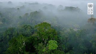 Biodiversity COP16: What’s at Stake