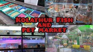 Kolathur fish & pet market| Chennai Aquarium market| pet market | Chennai cheapest pet market