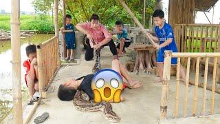 Harvesting Lotus Flowers & Goes Market to Sell - Rescue Children from Giant PYTHON Encounter