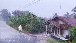 Cool Walking in the rain of Great Thunder in the village Red soil || Very refreshing and soothing