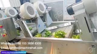 Lettuce Washing And Drying Line How To Wash And Dry Lettuce