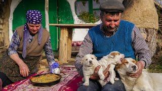 Puzik has two Puppies , Cooking Vegetable Pie