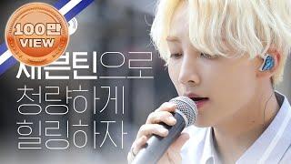 [월요병예방] 기억 조작 청량돌 '세븐틴' 과 함께 힐링 타임 l #피크닉라이브소풍