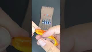 How to rig a softbait with Kahle Hook？（Follow for more) #fishingtackle #fishingman #fishinghook