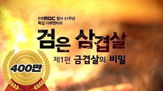 전주MBC 특집다큐 '검은 삼겹살' 제1편 금겹살의 비밀 (유룡 기자 , 한국방송기자대상, 고화질)