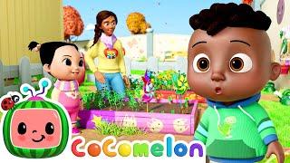Cody goes gardening | | Play Time with Cody and JJ! | CoComelon Songs for Kids & Nursery Rhymes