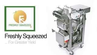 FS-12 Commercial Cold Juicing Press.