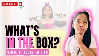 WHAT'S IN THE BOX CHALLENGE | SENSE OF TOUCH | JANJAM KINGDOM