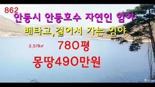 [번호862]안동시 임하면 호숫가 자연인 임야 총490만원