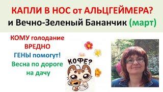 NAP пептид от Альцгеймера. Вечно Зеленые Бананы