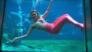 WEEKI WACHEE MERMAIDS share secrets to working underwater - WildTravelsTV.com