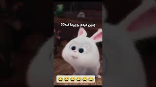 موفق های زندگی 🫰 #funny #باحال #فان #خنده #طنز #اکسپلور #cute #کلیپ #animation #تیکتاک