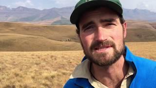 Exploring Giant's Castle's Berg View hiking trail in the Drakensberg