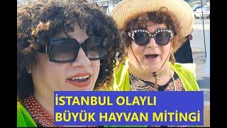 HAYVAN MİTİNGİNE ÜNLÜ YAĞMURU