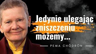 Cytaty Pema Chodron. Moc pozytywnego myślenia. Cytaty filozofa które zmienią Twoje życie. Kliknij.