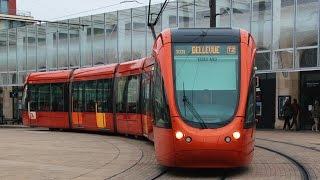 Trams in France : Le tramway du Mans