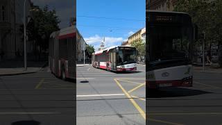 PILSEN | City bus  near Tyl's theatre - 4K #citybus