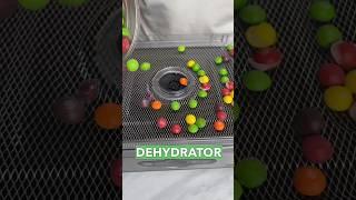 $100 Dehydrator vs. $4,000!Freeze Drier 🫣 #freezedried #dehydrator #freezedriedcandy