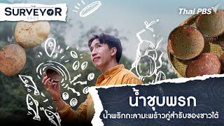 น้ำชุบพรก น้ำพริกกะลามะพร้าวคู่สำรับของชาวใต้ | The Surveyor