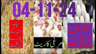 04-11-2024 broiler rate| Today egg rate |Today chicks price|Today poultry rate| today chicken rate