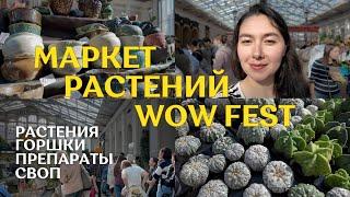 маркет РАСТЕНИЙ WOW FEST в Санкт-Петербурге | ВНЕЗАПНЫЙ визит в Make More Plants | мои ПОКУПКИ 