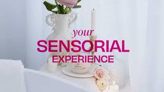 SABON: Scrub Your Way! Your Sensorial Experience