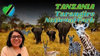  Tarangire National Park  Safari Game Drive | Herds of Elephants | Eileen's Trees Inn | Tanzania