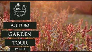 Garden tour part 3. Fall garden tour. Autumnal garden. Baltic Gardening. Annual flower garden