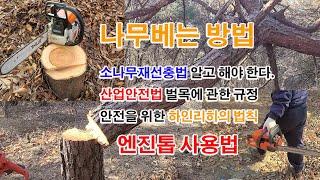 체인톱, 엔진톱 고사목 정리하기 소나무재선충법, 하인리히의 법칙, 벌목에 관한 법규