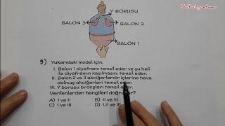 6.sınıf fen bilimleri 1.dönem 2.yazılı soruları @okulcu  #fen #fenbilimleri #6sınıf #yazılı