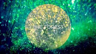 Forest Sound Effects Library