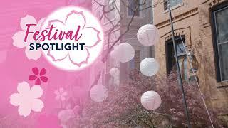 2024 National Cherry Blossom Festival Spotlight - Community Pride