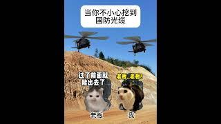 当你不小心挖到国防光缆  #猫meme #cat #喵哥是萌新  #meme #搞笑 #人類迷惑行為  #猫meme小剧场 #funny #沙雕剧情  #pets