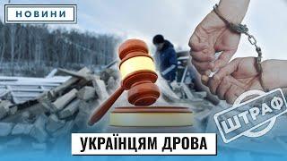 5 колосків сучасності: українців судитимуть за дрова, ягоди і гриби?