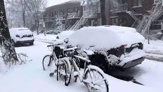 Vivre à Montréal ️ : notre année en PVT Canada 