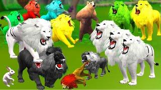 सफ़ेद शेर के अनोखे रूप और रंगीन शेरो का सफ़ेद शेर से युद्ध/Black Lion & White Lion Story Animals Story