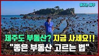 제주도 부동산? 지금 사세요!! "좋은 부동산 고르는 법" [여기는 제주도]