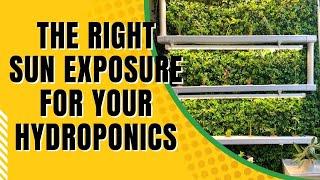 Choosing The Right Sun Exposure For Your Hydroponic System - Chapter 8