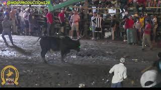 TOROS en patronales de Monagrillo 6 de octubre 2024