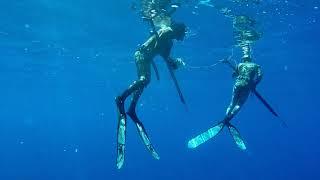 Spearfishing Australia - FNQ's remote reefs. clear water, elusives and more. pt.1(reef)