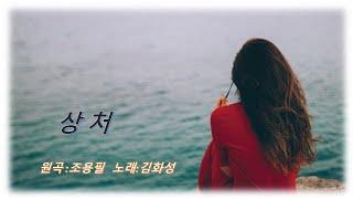 상처  김화성 (James Hwa Kim )