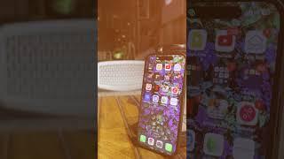 iPhone 15 is the best value IPhone to buy!!! ft. IPhone 16e