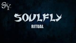 Soulfly - Ritual (Cover by Sergey Yershov)